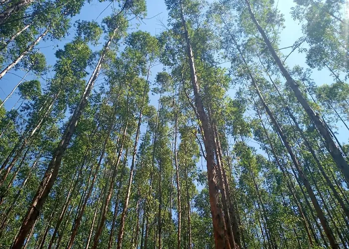 Pousada Sal da Terra